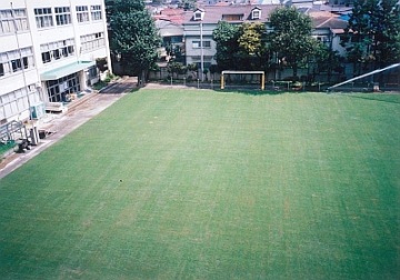 夏の校庭の芝生