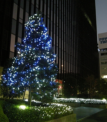 ようこそ箱根植木株式会社のホームページへ 東京都杉並区に本社がある箱根植木株式会社です