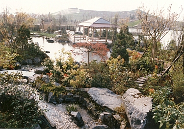 Japanese garden in 1984