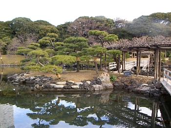 旧 浜離宮庭園｜施工前
