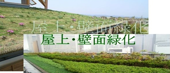 屋上・壁面緑化