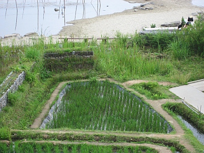 田んぼと人工海浜風景
