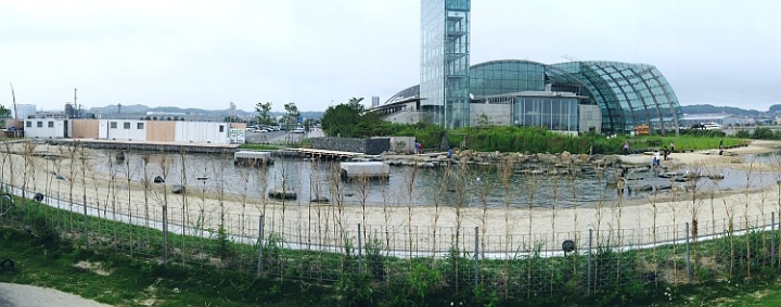 全景