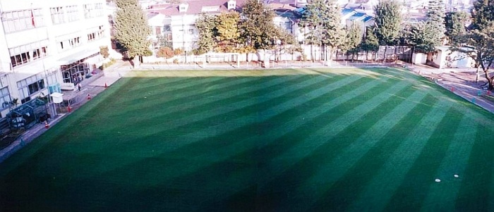 秋の校庭全景