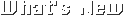 新着情報