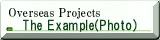 The example of our projects